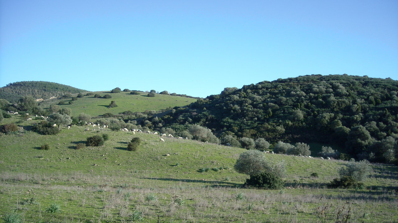 Elias Portolu, Grazia Deledda.Trama e recensione